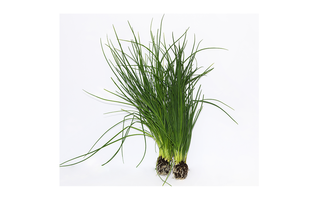 Simply Fresh Chives Leafy Greens    Box  250 grams